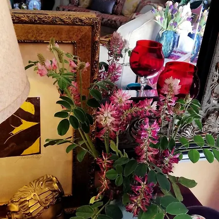 Un Balcone Sul Mare Дом отдыха