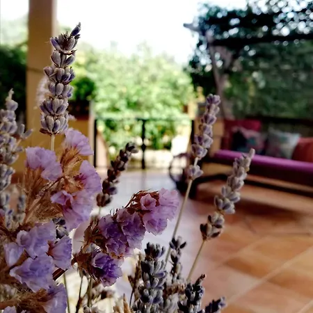 Дом отдыха Un Balcone Sul Mare Агридженто