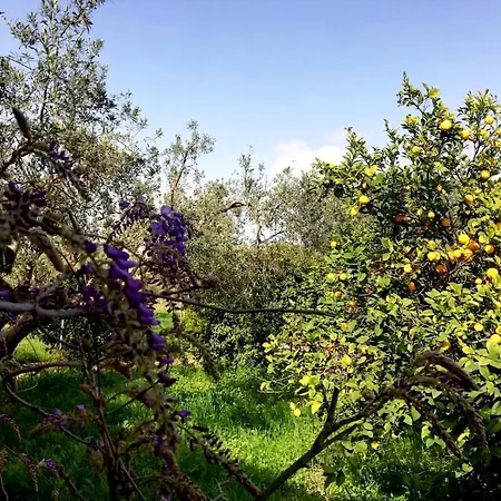Дом отдыха Un Balcone Sul Mare
