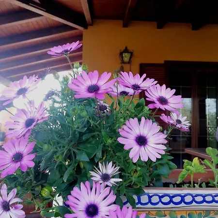 Holiday home Un Balcone Sul Mare *