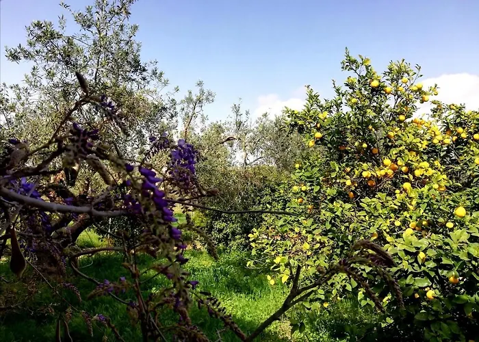 Casa vacanze Un Balcone Sul Mare