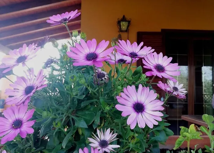 Casa vacanze Un Balcone Sul Mare *